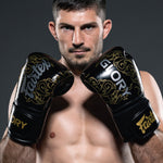 Guantoni Fairtex x Glory BGVG3 Nero-argento