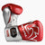 Guantoni Rival Professional Sparring RS100 con lacci
