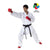 Karategi Kumite Tokaido Master WKF
