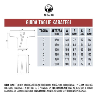 Karategi Kumite Tokaido Master WKF