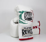 Guantoni Cleto Reyes Professional CB2 Mexican Tricolore con lacci