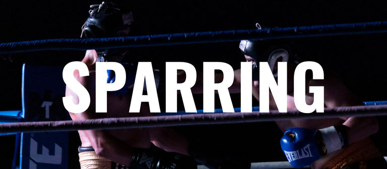 Sarrbing Sparring: Come diventare un campione. – Combat Arena