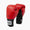 Guantoni Everlast Pro Style 2