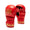 Guanti MMA Leone DNA 7 oz GP144 con pollice