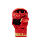 Guanti MMA Leone DNA 7 oz GP144 con pollice