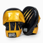 Guanti da passata Cleto Reyes Tiger
