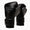 Guantoni Everlast Powerlock 2