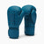 Guantoni Leone Tone X GN058 Ottanio-Combat Arena