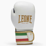 Guantoni bambino Leone Italy GN039J 6 oz