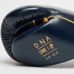 Guantoni Leone DNA Premium GN002 Blu