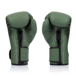 Guantoni Muay Thai Fairtex BGV11 F-Day