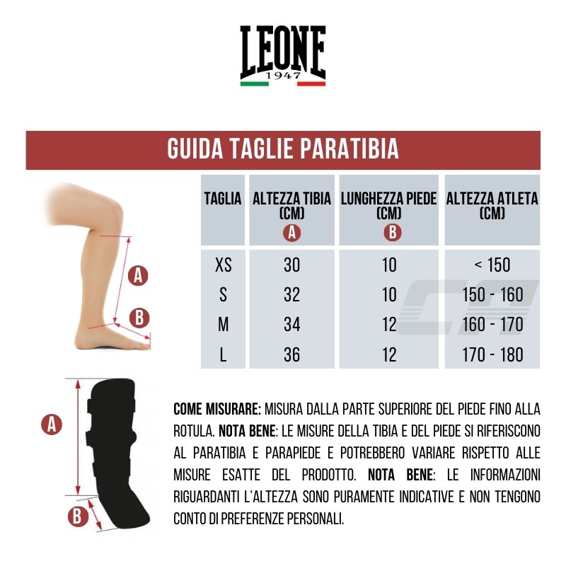 Tabella taglie leone new arrivals