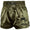 Pantaloncini kick-thai Venum Muay Thai Classic