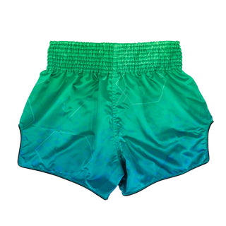 Pantaloncini kick-thai Fairtex BS1953 Quantum-Combat Arena