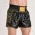 Pantaloncini kick-thai Leone DNA Premium AB969 Nero