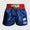 Pantaloncini kick-thai Venum Muay Thai Classic