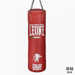 Sacco Boxe Leone Basic AT840