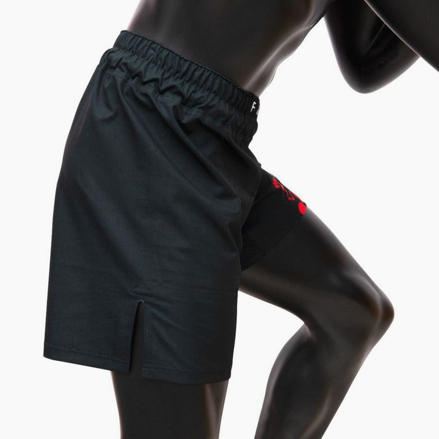 Pantaloncini MMA Fairtex AB13 Wild