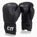 Guantoni Combat Arena Sonar