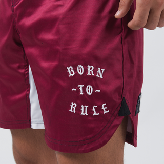Pantaloncini No-Gi Kingz Born to Rule