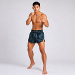 Pantaloncini kick-thai Fairtex BS1902 Stealth #2