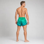 Pantaloncini kick-thai Fairtex BS1953 Quantum