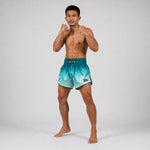 Pantaloncini kick-thai Fairtex BS1906 Fade Verde