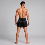 Pantaloncini kick-thai Fairtex BS1912 Kabuki