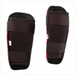 Paratibie Top Ten WAKO Style