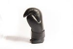 Guanti SAP Point Fighting Raptor Semi Contact