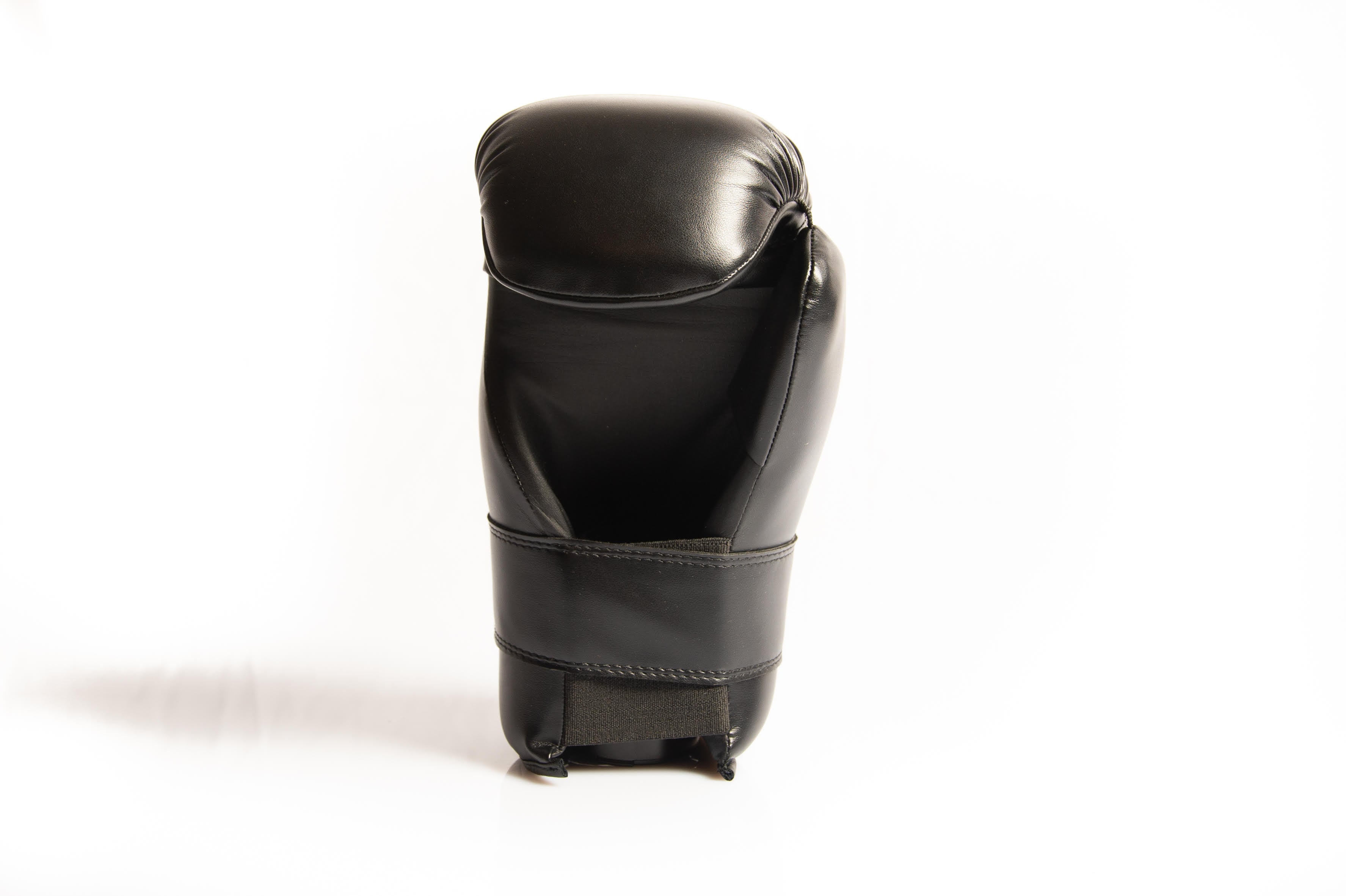 Guanti SAP Point Fighting Raptor Semi Contact